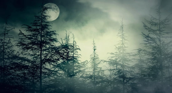 Rémálmok és egészség: ártalmatlan jelenség vagy fontos figyelmeztetés?